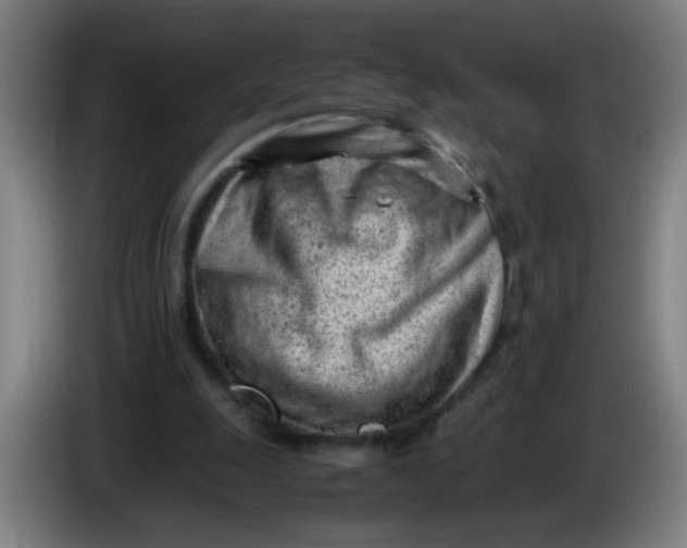 X0000085210247200703301648