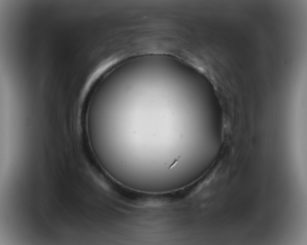 X0000085210248200703301648