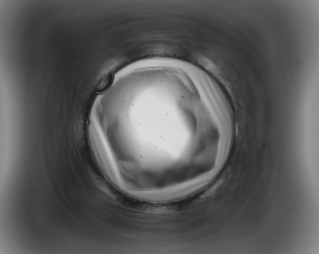 X0000085210249200703301648