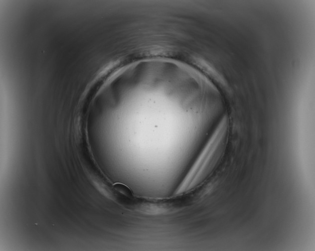 X0000085210250200703301648