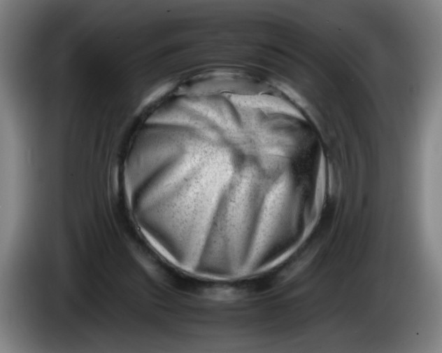 X0000085210253200703301648