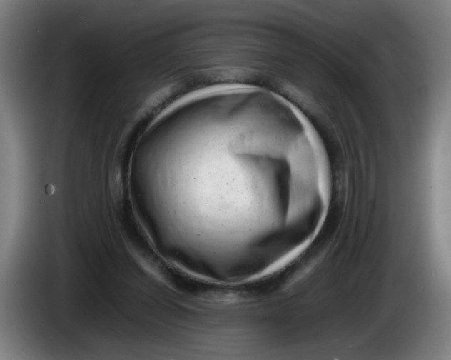 X0000085210254200703301648