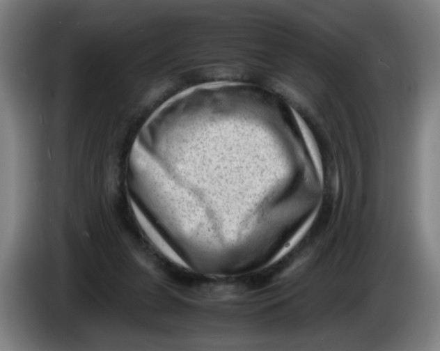 X0000085210255200703301648