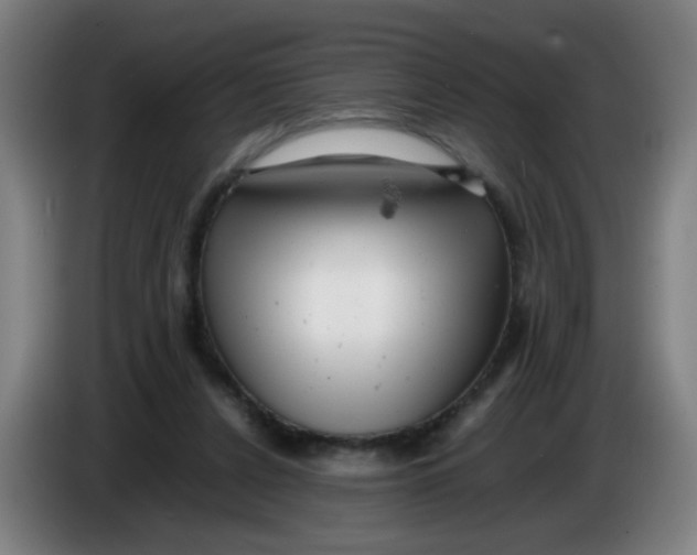 X0000085210256200703301648