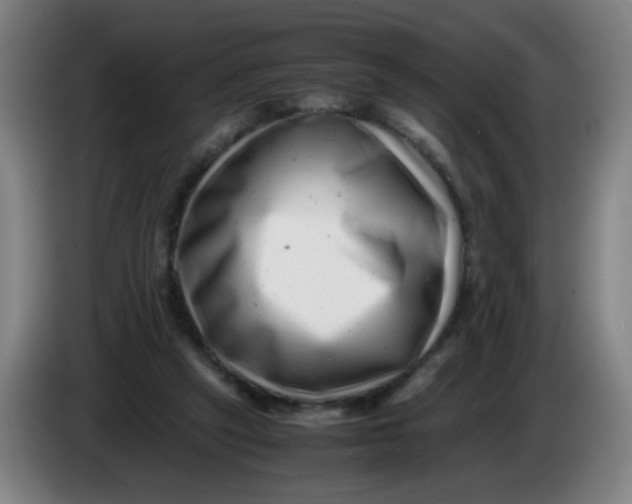 X0000085210257200703301648