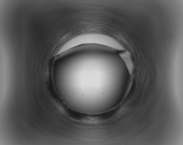 X0000085210260200703301648