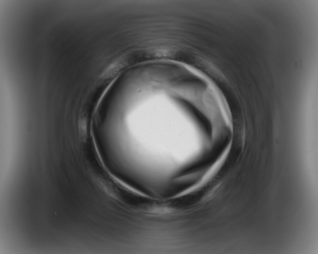 X0000085210262200703301648