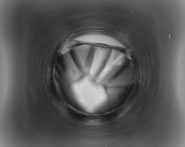 X0000085210263200703301648