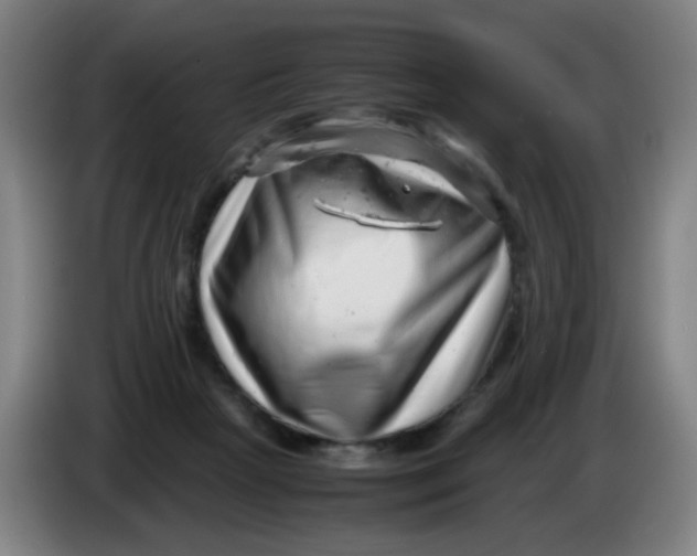 X0000085210265200703301648