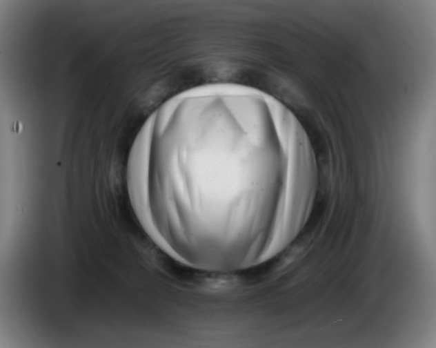 X0000085210274200703301648