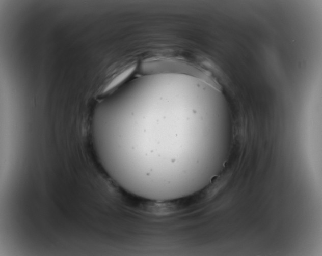 X0000085210277200703301648