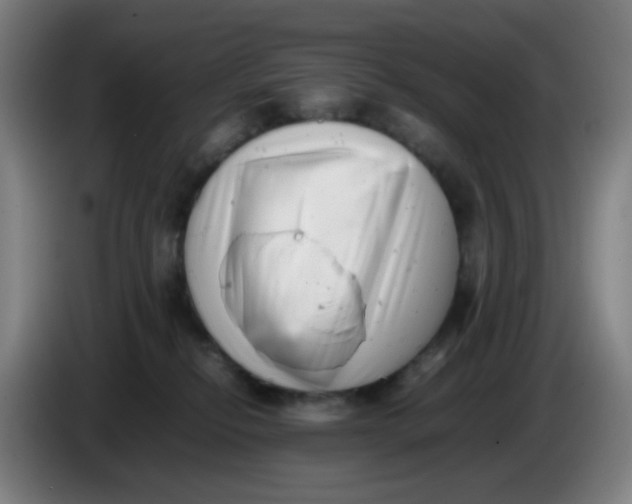 X0000085210278200703301648