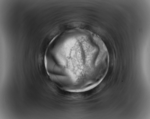 X0000085210279200703301648