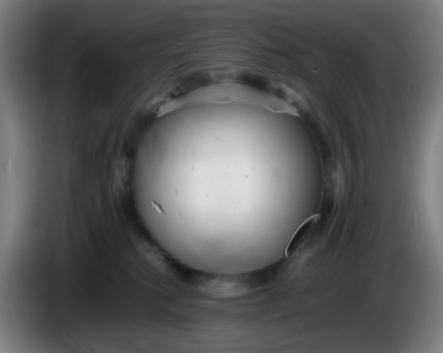 X0000085210280200703301648