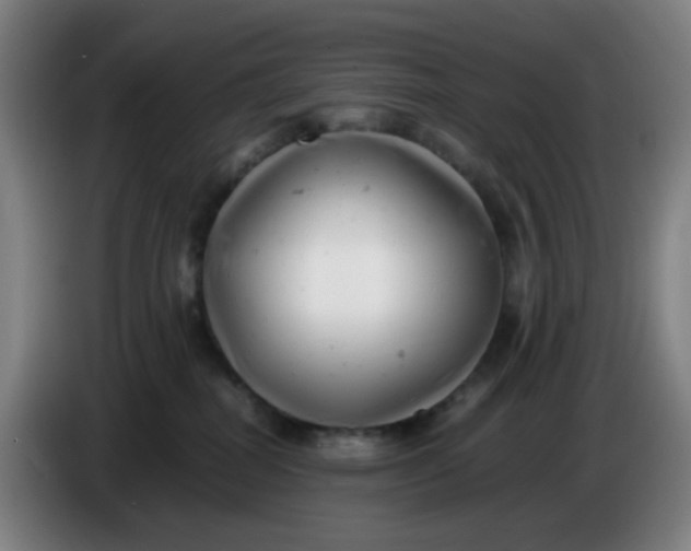 X0000085210282200703301648