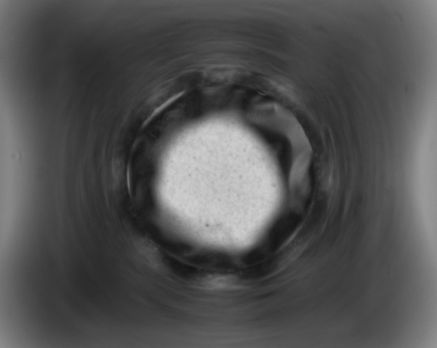 X0000085210283200703301648