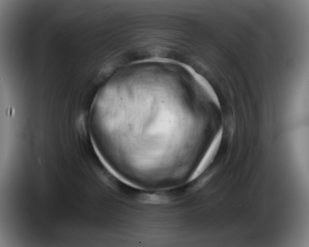 X0000085210286200703301648