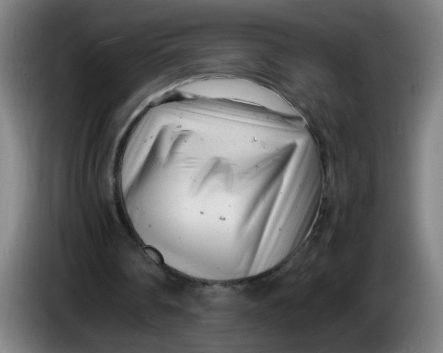 X0000085210290200703301648