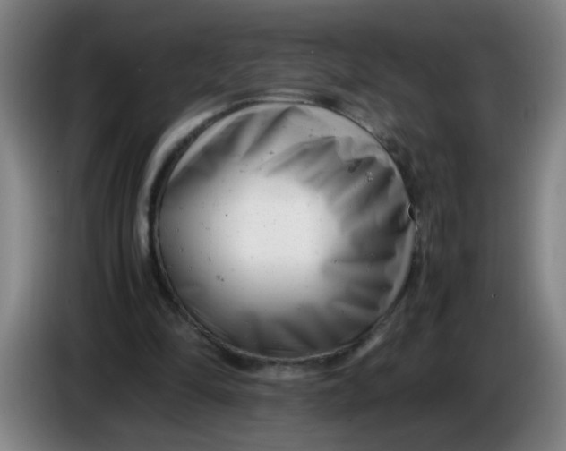 X0000085210294200703301647