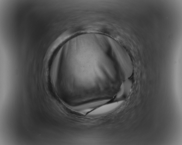 X0000085210295200703301647