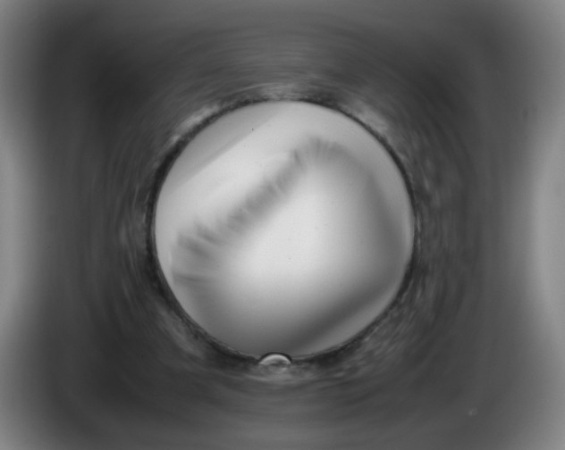 X0000085210297200703301647