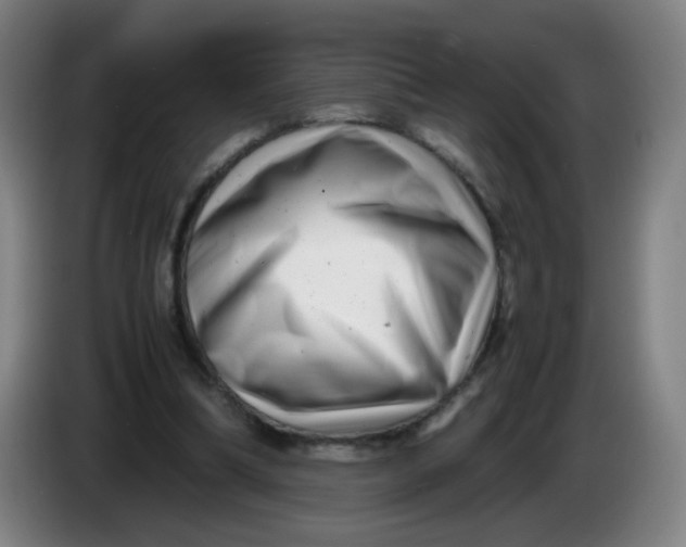 X0000085210298200703301647