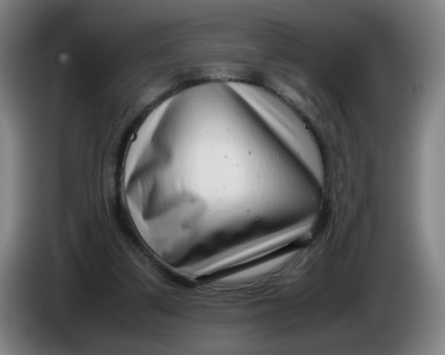 X0000085210299200703301647