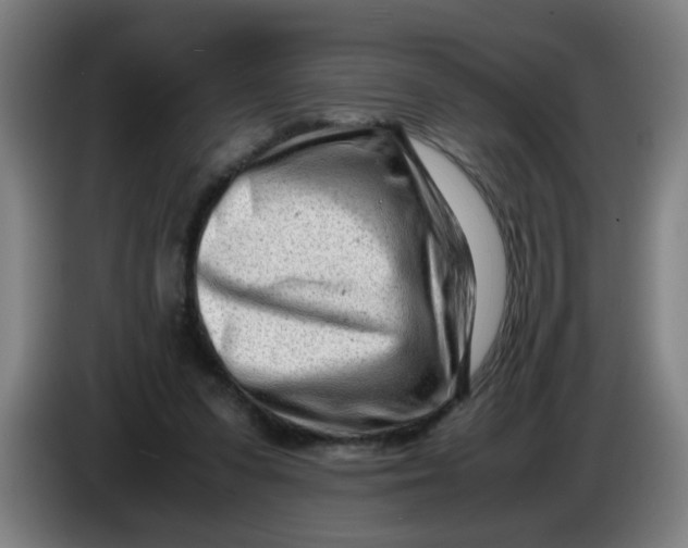 X0000085210303200703301647