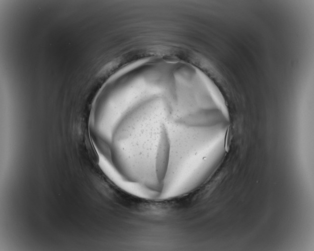 X0000085210305200703301647