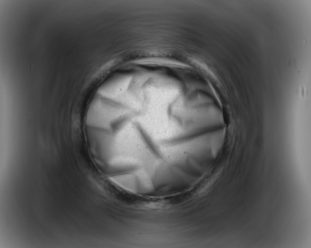 X0000085210306200703301647