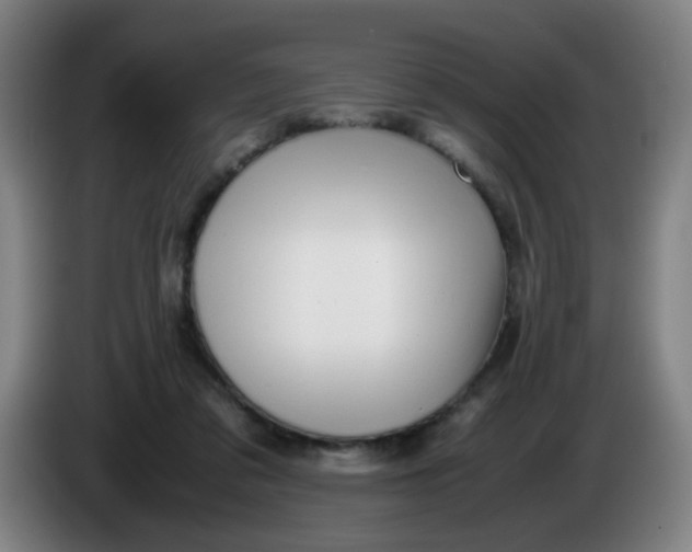 X0000085210309200703301647