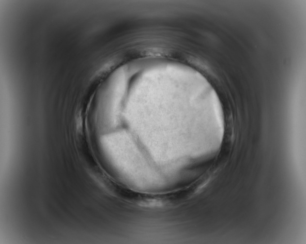 X0000085210310200703301647