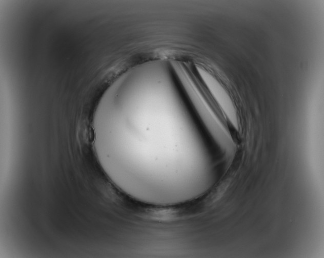 X0000085210313200703301647