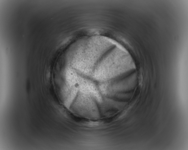 X0000085210314200703301647