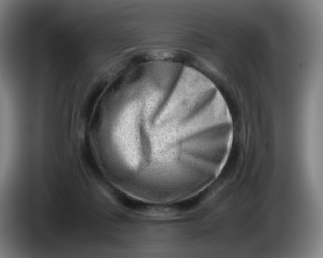 X0000085210315200703301647