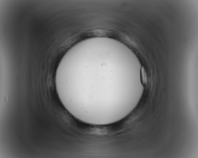 X0000085210317200703301647