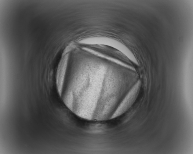 X0000085210319200703301647