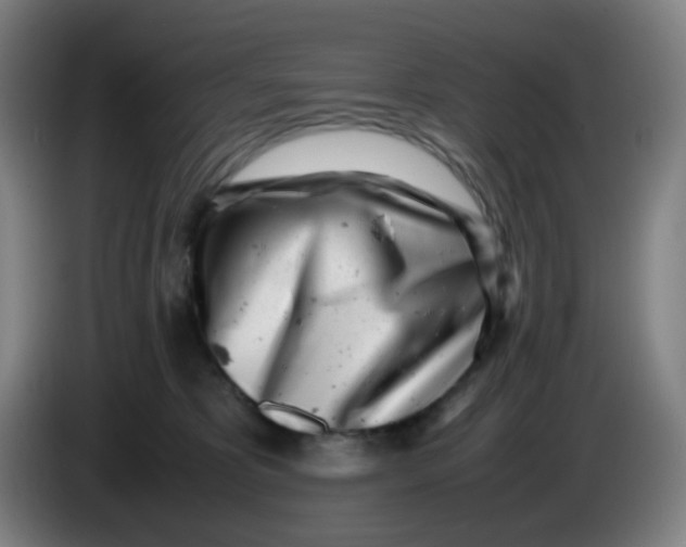 X0000085210325200703301647