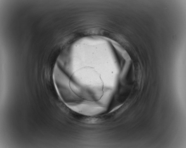 X0000085210326200703301647