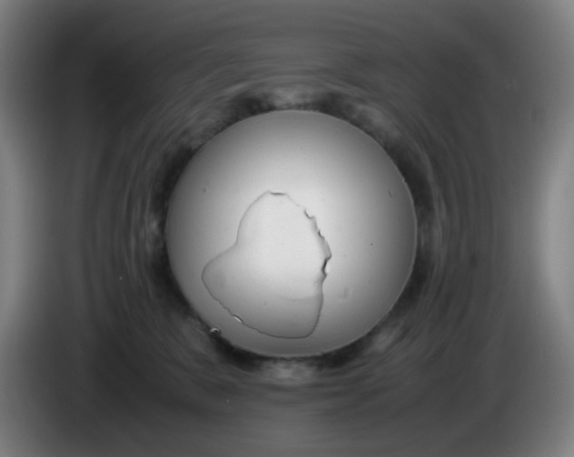 X0000085210327200703301647