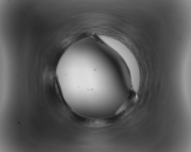 X0000085210329200703301647