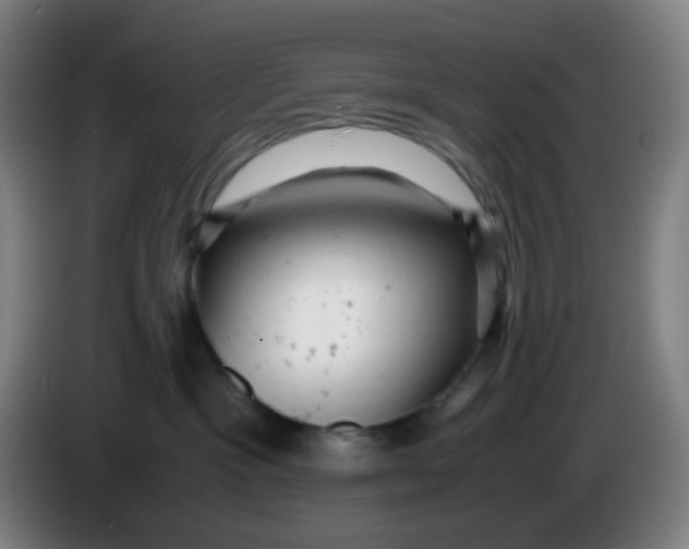 X0000085210333200703301647