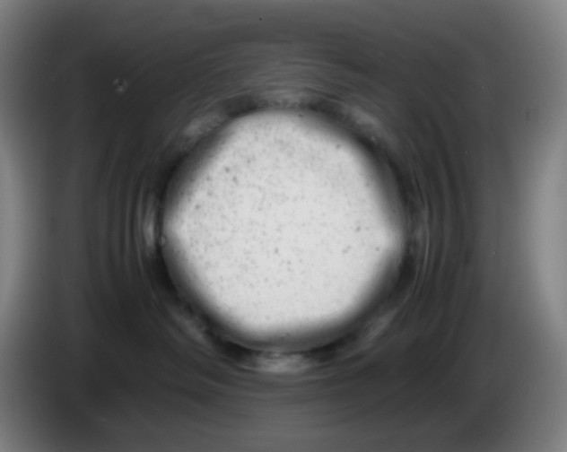 X0000085210334200703301647