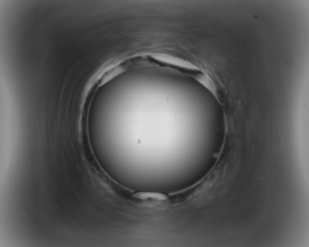 X0000085210340200703301646