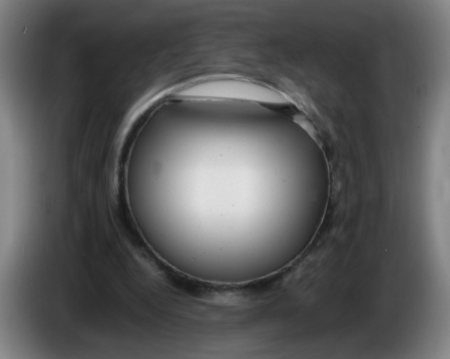 X0000085210344200703301646