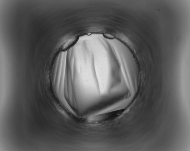 X0000085210345200703301646