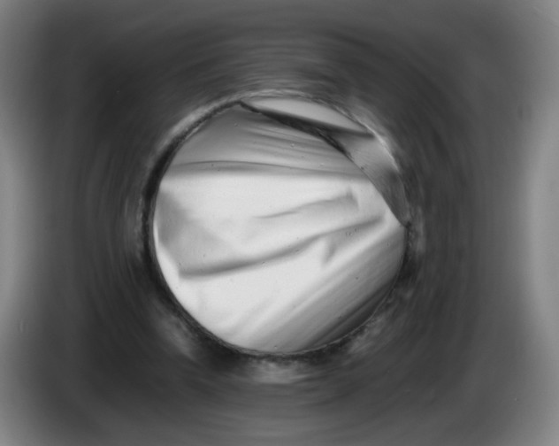 X0000085210346200703301646