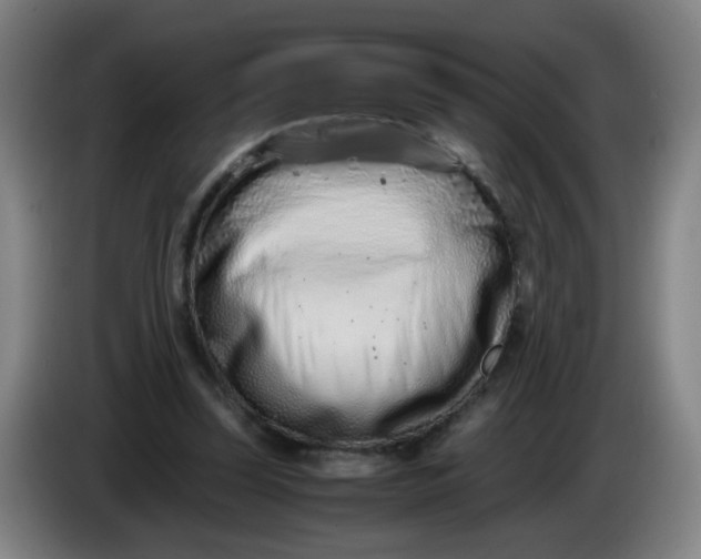 X0000085210347200703301646