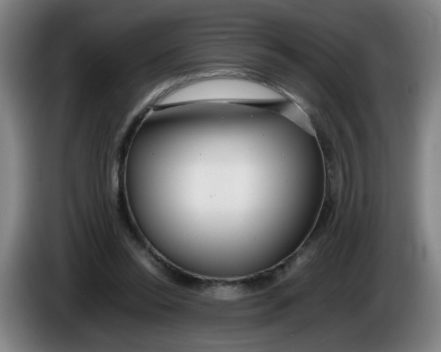 X0000085210350200703301646