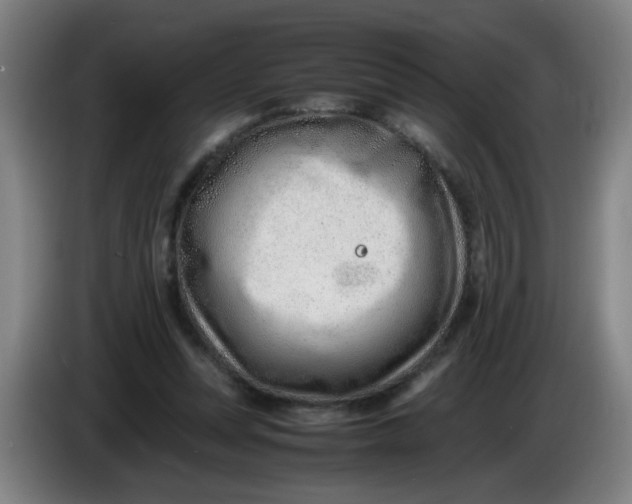 X0000085210351200703301646